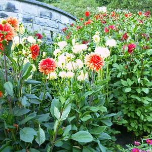 PICT0312.JPG