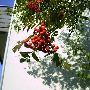 PICT0133.JPG