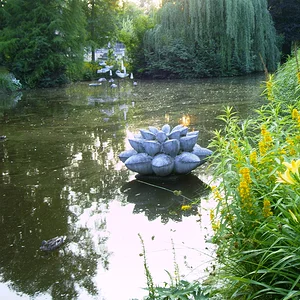 PICT0425.JPG