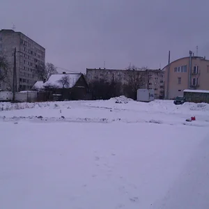 IMAG0303.jpg