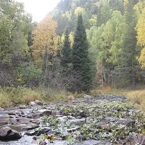 20091016123228.jpg