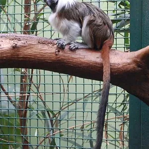 Tallinn-Zoo-7.jpg