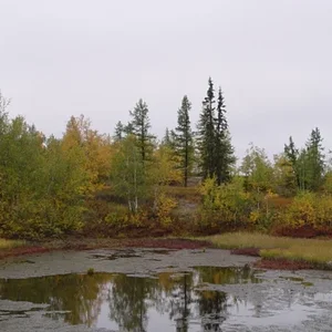 DSC00022.JPG