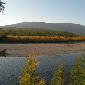 PICT2341.JPG