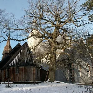 17241.jpg