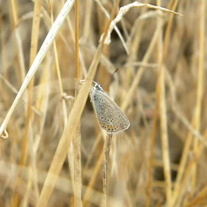 DSCN1040.JPG