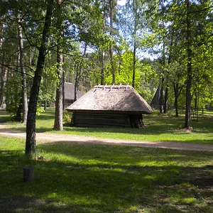 DSCN1395.JPG
