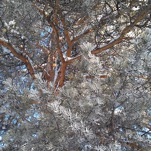 IMAG0041.jpg