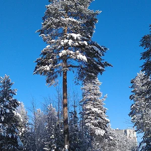 IMAG0043.jpg