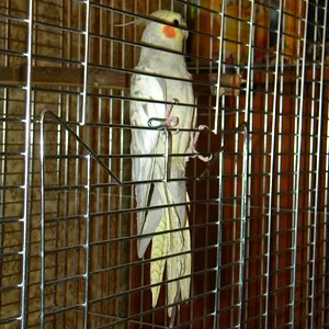 DSCN2872.JPG