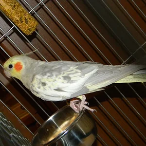 DSCN2878.JPG