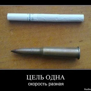 x_90b27d70.jpg