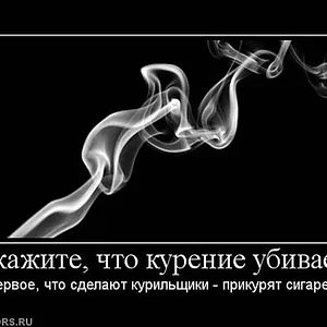 x_415219de.jpg