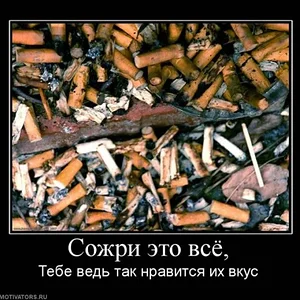 x_f79b654d.jpg