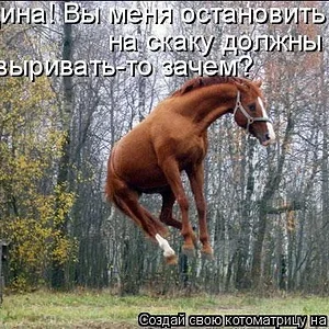 519462_499218.jpg
