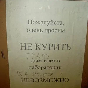 4973927.jpg