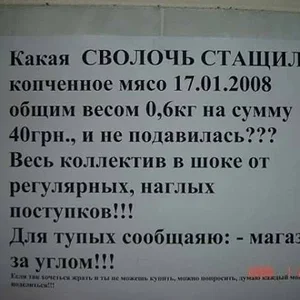 87555863_large_10.jpg
