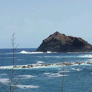 image8RDW4QTA.jpg