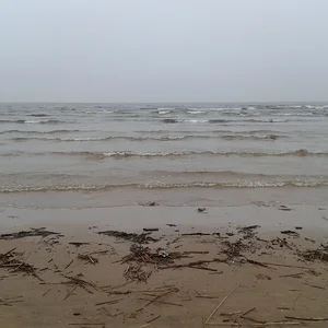 20141103_144536.jpg