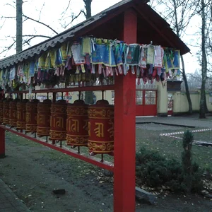 20141104_165333.jpg