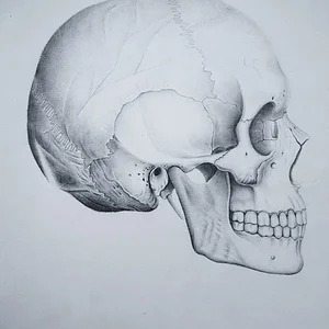 Студенческий рисунок