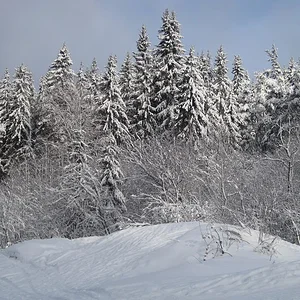 IMG_1857.JPG