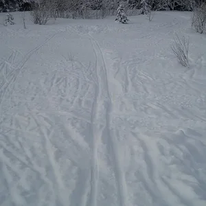 IMG_1859.JPG