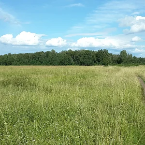 20150719_171320.jpg