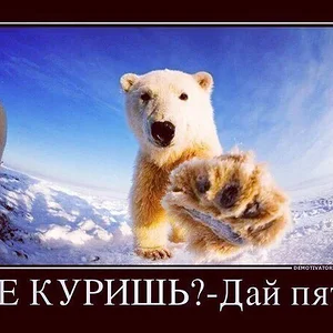 3VemiXt2uqo