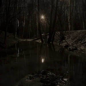 Там лес и дол, видений полны...