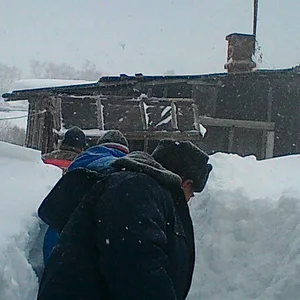 Местные домишки