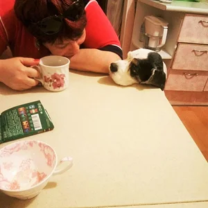 наглядеться на тебя не могу