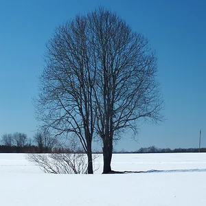 DSCF2257