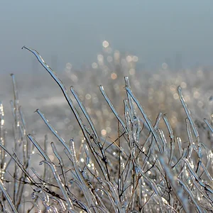 Мелодия хрустальных колокольчиков