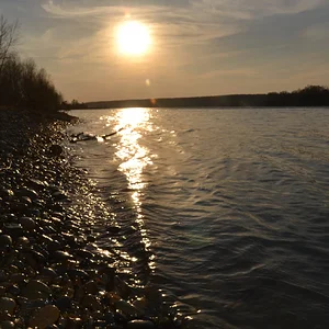 Предвкушение ночи