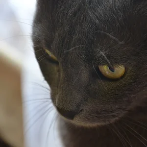 Мысли о вечном...