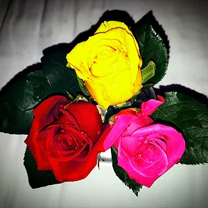 Три розочки для золушки)