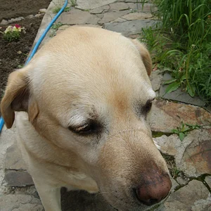 DSC04101