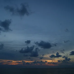 DSC08503