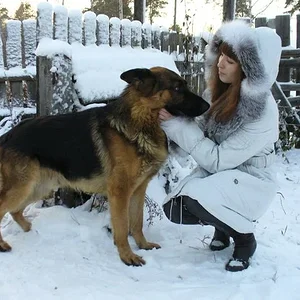 Дрессируем )