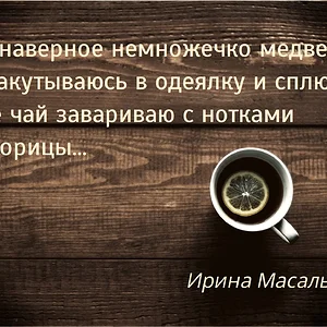 медведь