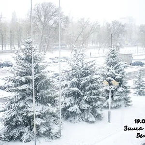 Весна пришла