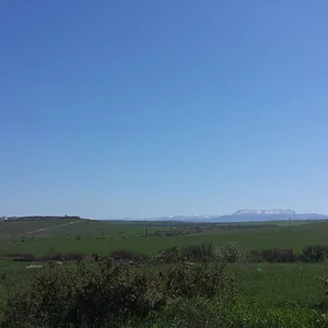 Чатыр-Даг