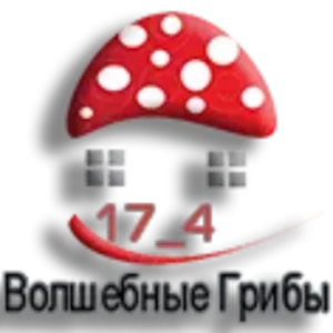 17_4(1)