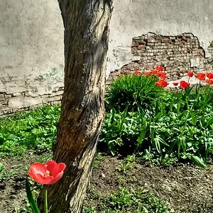 Спрятался-) (Вне конкурса)