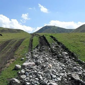 степная дорога