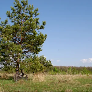поле.