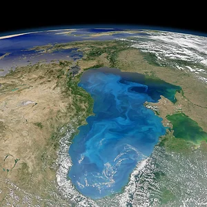 оагогогноо