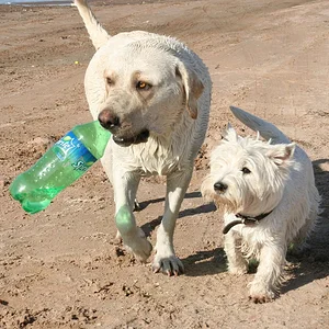 послали за водой