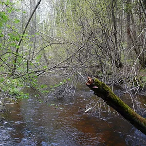 Речка